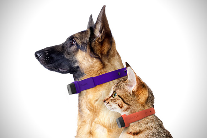 Nuzzle-GPS-Pet-Collar-3